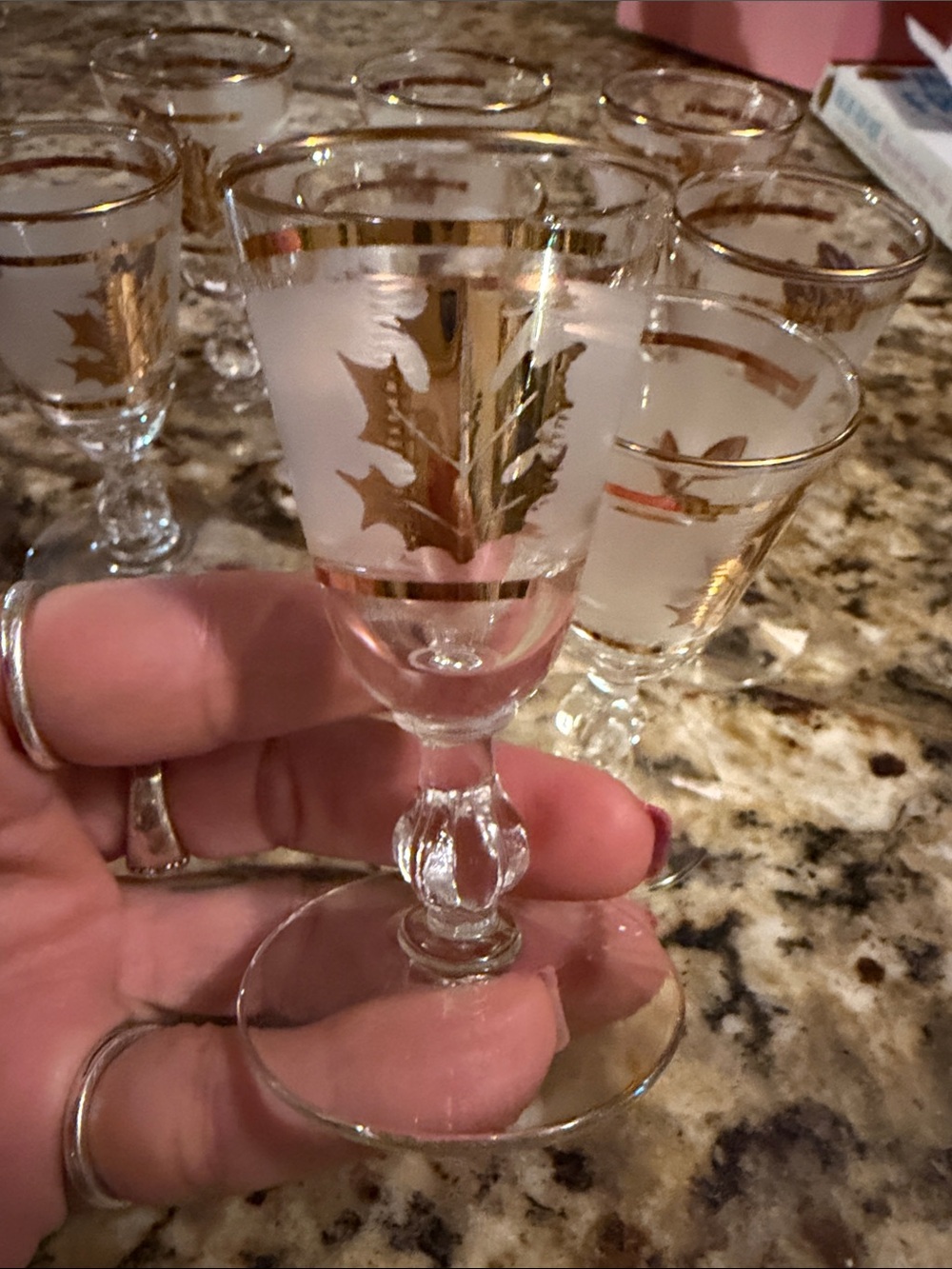 Frosted Glass Liqueur Glasses with Gold Leaf Accent - Set of Vintage-Style Stems